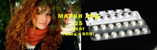 первитин Новодвинск