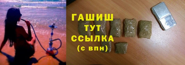 гидра Верхний Тагил