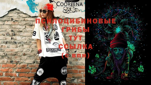 первитин Новодвинск