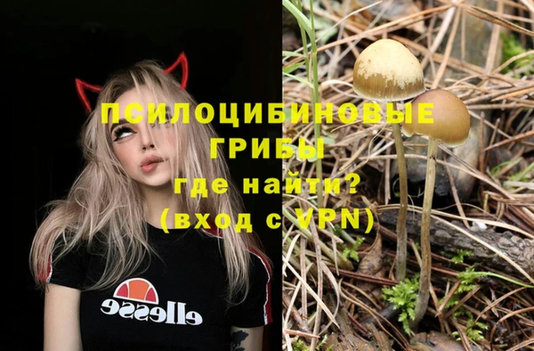 бошки Новозыбков