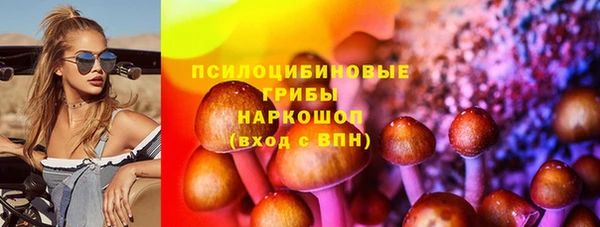 бошки Новозыбков