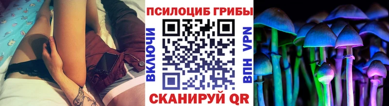 Галлюциногенные грибы мицелий  наркота  Кимовск 