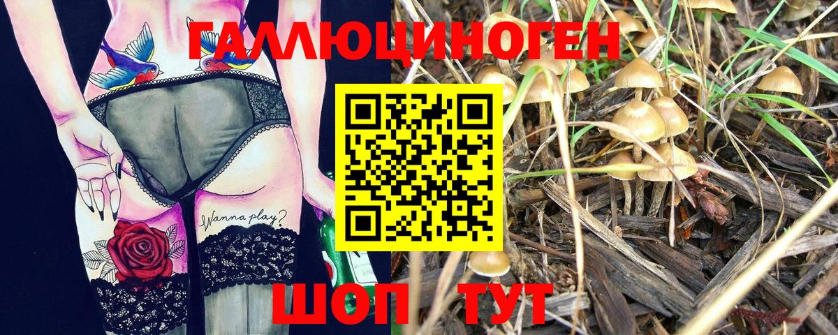 Галлюциногенные грибы ЛСД  Вход с VPN  Псилоцибиновые грибы GOLDEN TEACHER  где купить   Кимовск 