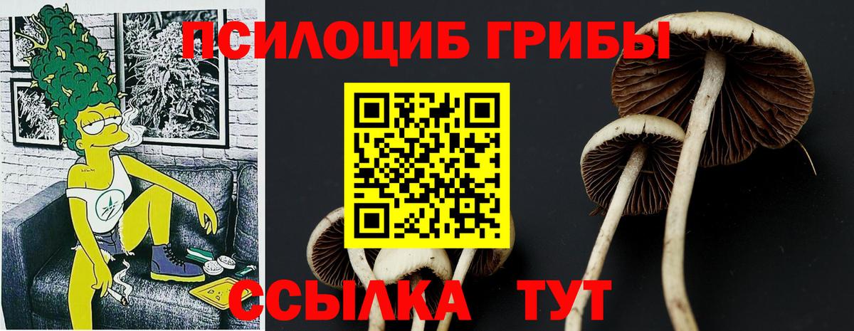 Галлюциногенные грибы мухоморы Кимовск