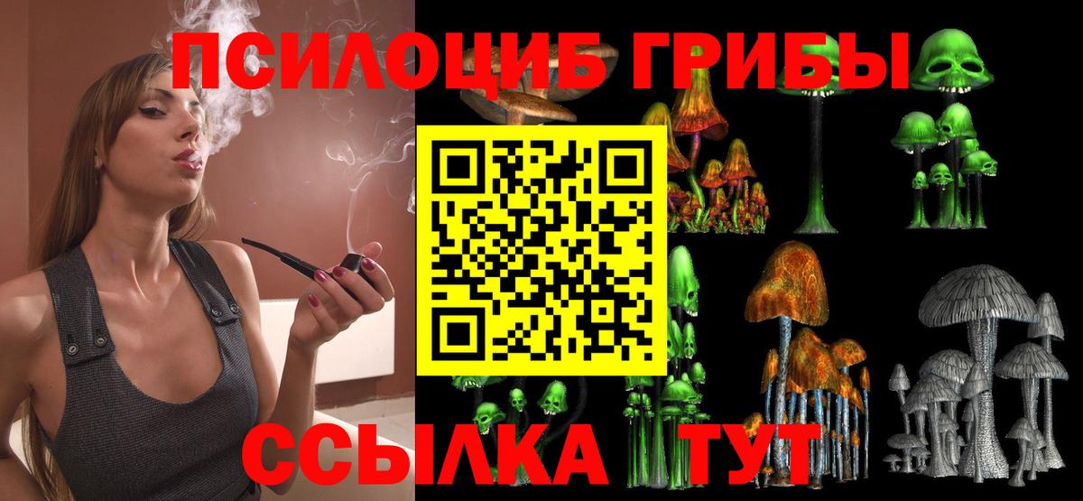 Галлюциногенные грибы GOLDEN TEACHER  Кимовск  Галлюциногенные грибы GOLDEN TEACHER 