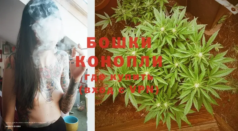 цена наркотик  мега tor  Конопля Ganja  Кимовск 