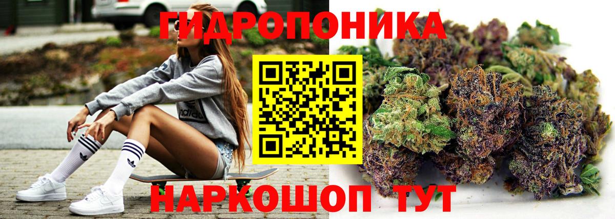 Бошки Шишки VHQ  Бошки Шишки VHQ  Кимовск  Бошки Шишки VHQ 